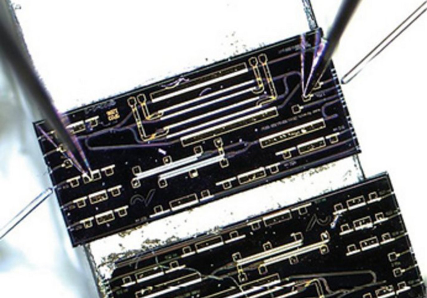 Mikroskopbillede af det optisk integrerede kredsløb, der anvendes til ammoniakdetektoren. Chippen er omtrent 2×2,6 mm2 i størrelse