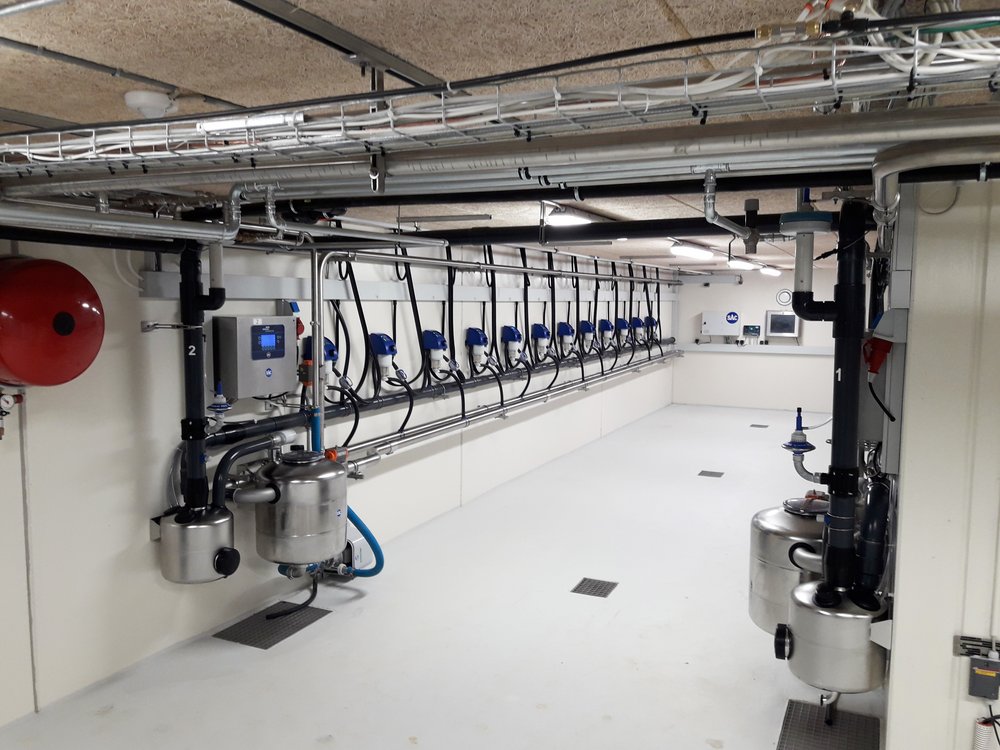 The milking basement from which milk samples can be drawn. Photo: Linda S. Sørensen.