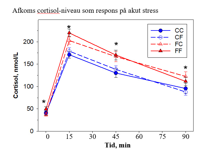 Figur viser afkoms cortisol-niveau som respons på akut stress.