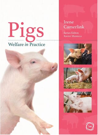 [Translate to English:] Ny international lærebog om velfærd hos grise:  ”Animal welfare in practice: Pigs”.